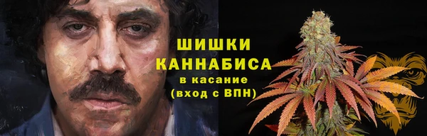 ПСИЛОЦИБИНОВЫЕ ГРИБЫ Михайлов