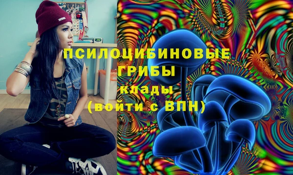шишки Навашино