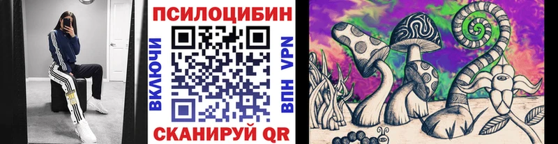 Псилоцибиновые грибы Psilocybine cubensis Лебедянь
